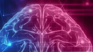 Human brain on technology background 
